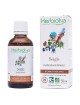 Seigle Macérât de bourgeon Bio - Purification et Minceur 50 ml - Herbiolys