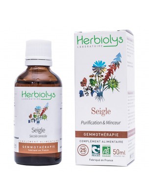 Image de Seigle Macérât de bourgeon Bio - Purification et Minceur 50 ml - Herbiolys depuis louis-herboristerie