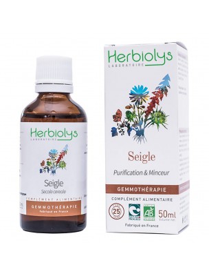 Image de Seigle Macérât de bourgeon Bio - Purification et Minceur 50 ml - Herbiolys depuis Commandez les produits Herbiolys à l'herboristerie Louis