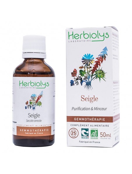 Image principale de Seigle Macérât de bourgeon Bio - Purification et Minceur 50 ml - Herbiolys