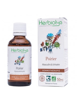 Image de Poirier Macérât de bourgeon Bio - Masculin et Urinaire 50 ml - Herbiolys depuis Résultats de recherche pour "Sureau Bio - Fl"