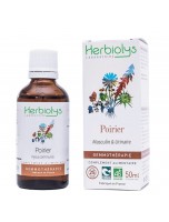 Image de Poirier Macérât de bourgeon Bio - Masculin et Urinaire 50 ml - Herbiolys depuis Découvrez nos bourgeons unitaires naturels pour un bien-être complet (5)