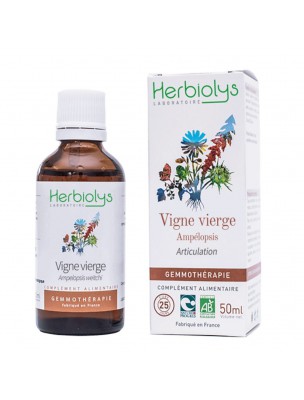 Image de Vigne vierge Macérât de bourgeon Bio - Articulation 50 ml - Herbiolys depuis Achetez les produits Herbiolys à l'herboristerie Louis (9)