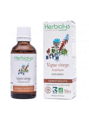 Image de Vigne vierge Macérât de bourgeon Bio - Articulation 50 ml - Herbiolys depuis Découvrez nos bourgeons unitaires naturels pour un bien-être complet (7)