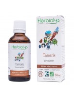 Image de Tamaris Macérât de bourgeon Bio - Circulation 50 ml - Herbiolys depuis Découvrez nos bourgeons unitaires naturels pour un bien-être complet (6)