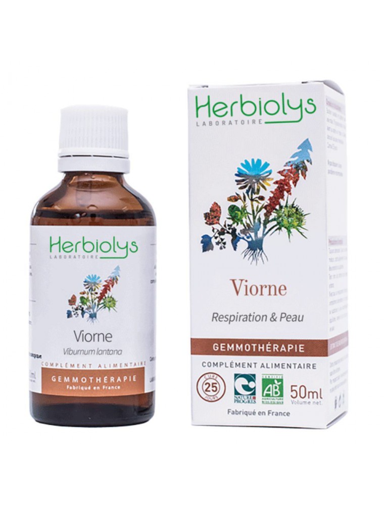 Image principale de la modale pour Viorne Macérât de bourgeon Bio - Respiration et Peau 50 ml - Herbiolys