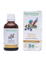 Image de Cranson officinal - Dépuratif et Vitamine C Teinture-mère Cochlearia officinalis 50 ml - Herbiolys depuis ▷▷ Teintures mères de plantes commençant par la lettre C (3)