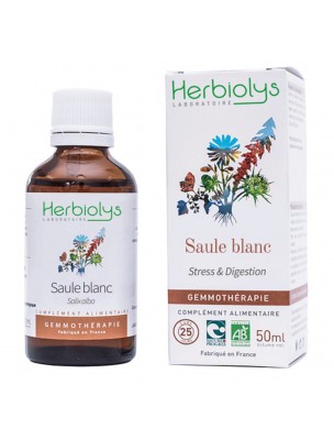 Image de Saule blanc Macérât de bourgeon Bio - Stress et Digestion 50 ml - Herbiolys depuis Achetez les produits Herbiolys à l'herboristerie Louis (8)