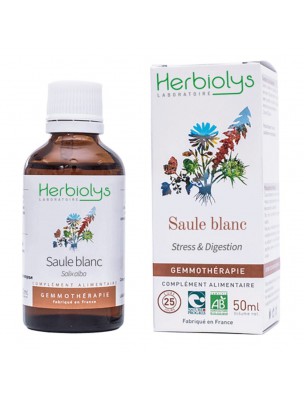 Image de Saule blanc Macérât de bourgeon Bio - Stress et Digestion 50 ml - Herbiolys depuis louis-herboristerie