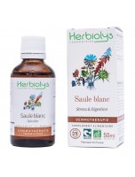 Image de Saule blanc Macérât de bourgeon Bio - Stress et Digestion 50 ml - Herbiolys depuis Découvrez nos bourgeons unitaires naturels pour un bien-être complet (6)