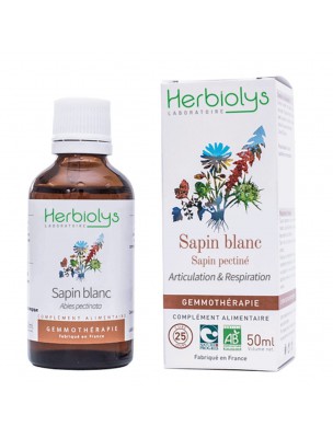 Image de Sapin blanc Macérât de bourgeon Bio - Articulation et Respiration 50 ml - Herbiolys depuis Achetez les produits Herbiolys à l'herboristerie Louis (8)