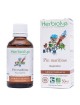 Pin maritime Macérât de bourgeon Bio - Respiration 50 ml - Herbiolys