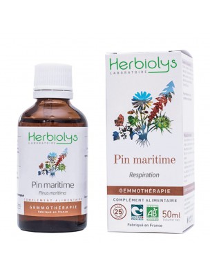 Image de Pin maritime Macérât de bourgeon Bio - Respiration 50 ml - Herbiolys via Pin sylvestre Macérât de bourgeon Bio - Respiration et Vitalité | Herbiolys