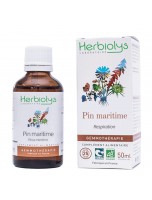 Image de Pin maritime Macérât de bourgeon Bio - Respiration 50 ml - Herbiolys depuis Découvrez nos bourgeons unitaires naturels pour un bien-être complet (5)