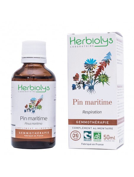 Image principale de Pin maritime Macérât de bourgeon Bio - Respiration 50 ml - Herbiolys