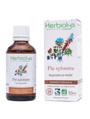 Image de Pin sylvestre Macérât de bourgeon Bio - Respiration et Vitalité 50 ml - Herbiolys depuis louis-herboristerie