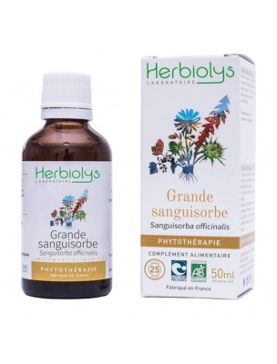 Image de Grande Sanguisorbe - Diarrhée et Digestion Teinture-mère Sanguisorba officinalis 50 ml - Herbiolys via Noyer Macérât de bourgeon Bio - Herbiolys