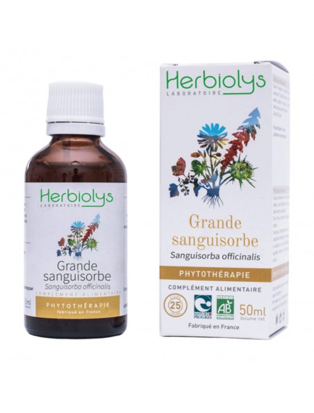 Image principale de Grande Sanguisorbe - Diarrhée et Digestion Teinture-mère Sanguisorba officinalis 50 ml - Herbiolys