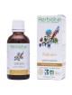 Salicaire - Diarrhées et Circulation Teinture-mère Lythrum salicaria 50 ml - Herbiolys