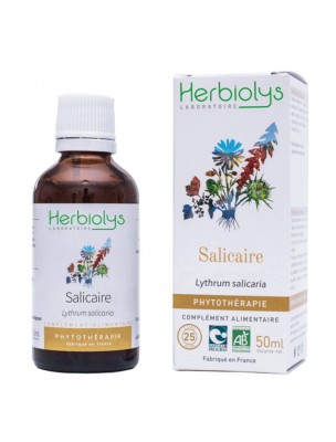 Image de Salicaire - Diarrhées et Circulation Teinture-mère Lythrum salicaria 50 ml - Herbiolys via Plantain rond - Feuille coupée 100g - Tisane de Plantago major