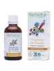 Vergerette du Canada - Rhumatismes et Troubles urinaires Teinture-mère Erigeron canadensis 50 ml - Herbiolys