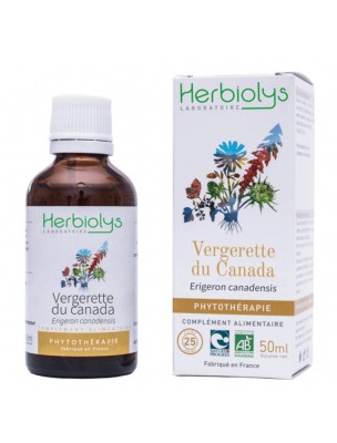 Image de Vergerette du Canada - Rhumatismes et Troubles urinaires Teinture-mère Erigeron canadensis 50 ml - Herbiolys depuis Achetez les produits Herbiolys à l'herboristerie Louis (9)