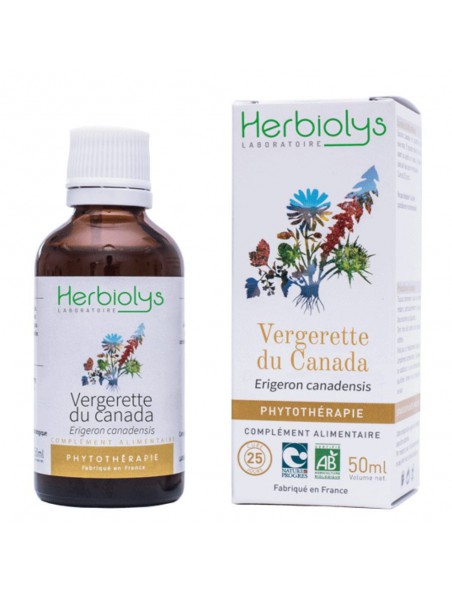 Image principale de Vergerette du Canada - Rhumatismes et Troubles urinaires Teinture-mère Erigeron canadensis 50 ml - Herbiolys