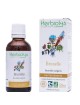 Brunelle - Sang et Peau -Teinture-mère Prunella vulgaris 50 ml - Herbiolys