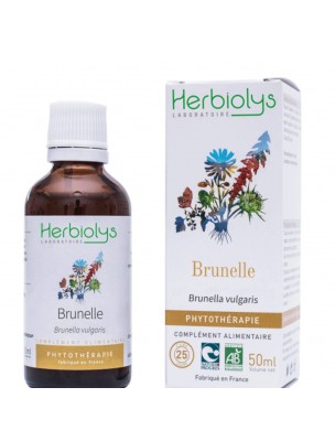 Image de Brunelle - Sang et Peau -Teinture-mère Prunella vulgaris 50 ml - Herbiolys depuis louis-herboristerie