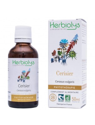 Image de Cerisier - Diurétique et Dépuratif Teinture-mère Cerasus vulgaris 50 ml - Herbiolys depuis Achetez des teintures mères unitaires pour votre bien-être | Phyto&Herba