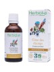 Cirse des champs - Circulation Teinture-mère Cirsium arvense 50 ml - Herbiolys