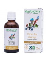 Image de Cirse des champs - Circulation Teinture-mère Cirsium arvense 50 ml - Herbiolys depuis ▷▷ Teintures mères de plantes commençant par la lettre C (3)