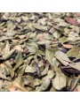 Image de Bearberry organic - Whole leaves 100g - Herbal Tea Arctostaphylos uva-ursi (L.) S. via Buy Ash - Cut Bark 100g - Fraxinus Herbal Tea