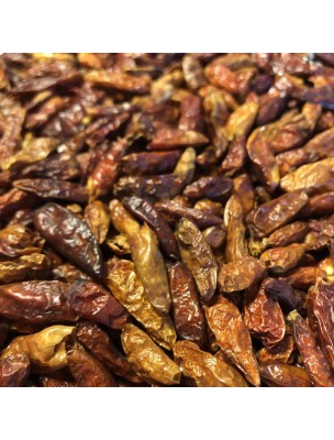 Image de Birds Tongue Pepper - Berries 100g - Capsicum frutescens L. depuis Spices and plants accompany you in the kitchen