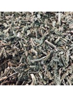 Image de Lycopode - Partie aérienne coupée 100g - Lycopodium clavatum depuis ▷▷ Tisanes de plantes commençant par la lettre L