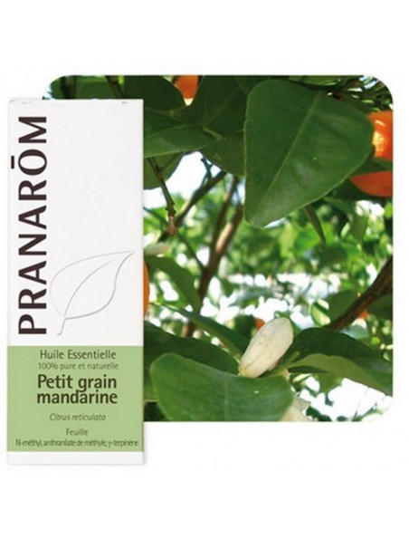Image principale de Petit Grain Mandarine - Huile essentielle Citrus reticulata 5 ml - Pranarôm