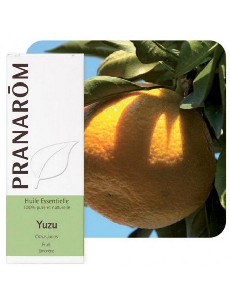 Achetez Yuzu - Huile essentielle Citrus junos 5 ml - Pranarôm à l'herboristerie Louis Image principale de Yuzu - Huile essentielle Citrus junos 5 ml - Pranarôm
