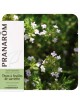 Thym à feuilles de sarriette - Huile essentielle Thymus satureioides 10 ml - Pranarôm