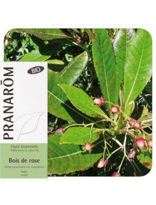 Image de Bois de Rose Bio - Huile essentielle Aniba rosaeodora var. amazonica 10 ml - Pranarôm via Bois de Ho - Huile essentielle Cinnamomum camphora ct linalol 10 ml - Pranarôm