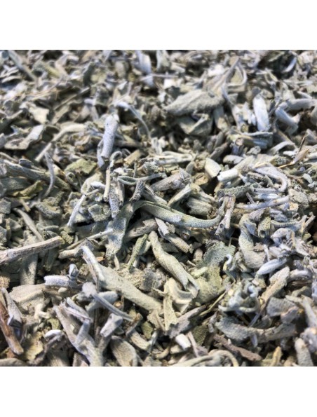 Sauge Bio - Feuilles coupées 100g - Tisane de Salvia officinalis L. Sauge Bio - Feuilles coupées 100g - Tisane de Salvia officinalis L.