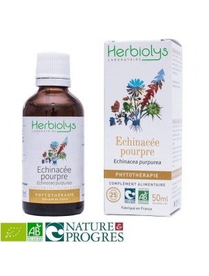 Petite image du produit Pack Immunité et Défenses immunitaires - Echinacée, Shitake, Acérola et Propolis verte