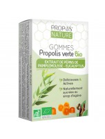 Image de Gommes Propolis verte Bio avec pépins de pamplemousse et Eucalyptus 45g - Propos Nature depuis Achetez votre Extrait de Pépins de Pamplemousse en ligne ou dans nos herboristeries.