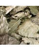 Cassis Bio - Feuilles entières 100g - Tisane de Ribes nigrum L.