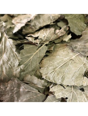 Image de Cassis Bio - Feuilles entières 100g - Tisane de Ribes nigrum L. depuis Résultats de recherche pour "Avec le Cassis "