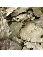 Image de Cassis Bio - Feuilles entières 100g - Tisane de Ribes nigrum L. depuis ▷▷ Tisanes de plantes commençant par la lettre C