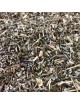 Menthe pouliot - Partie aérienne coupée 100g - Tisane de Mentha pulegium