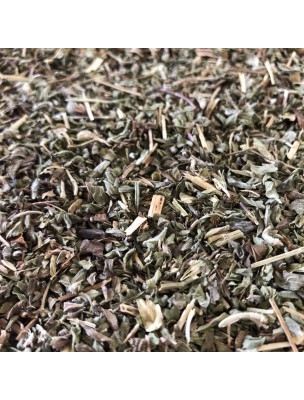 Image de Menthe pouliot - Partie aérienne coupée 100g - Tisane de Mentha pulegium depuis ▷▷ Tisanes de plantes commençant par la lettre M