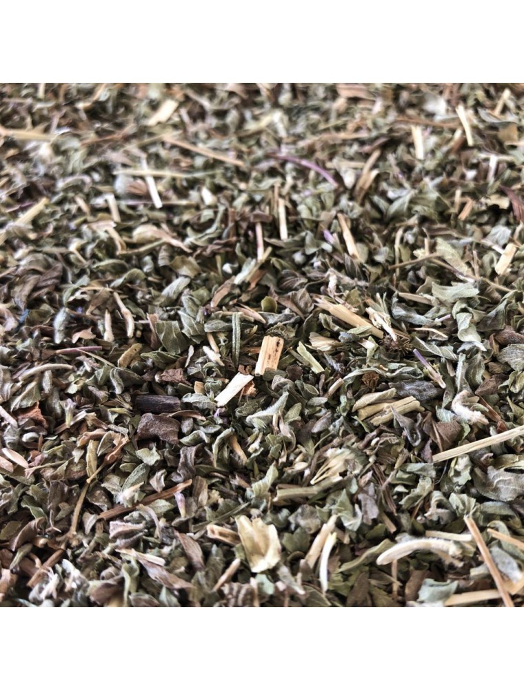 Image principale de la modale pour Menthe pouliot - Partie aérienne coupée 100g - Tisane de Mentha pulegium