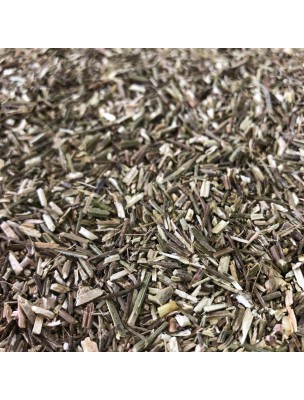 Image de Verveine officinale Bio - Partie aérienne coupée 100g - Tisane de Verbena officinalis L. depuis Achetez vos Tisanes en ligne (13)