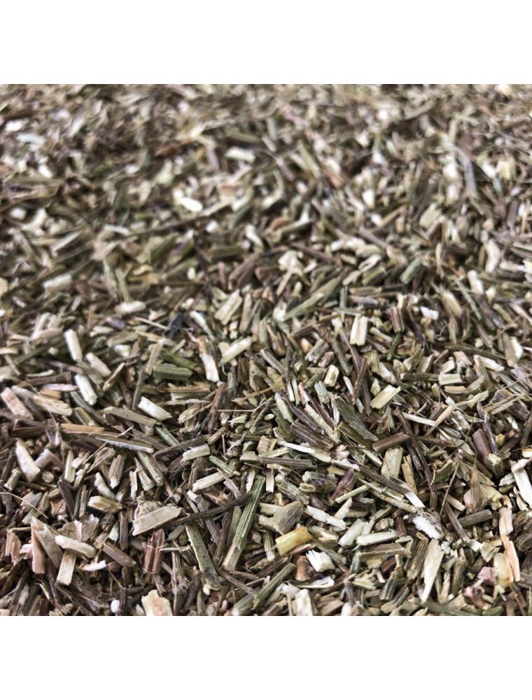 Image principale de la modale pour Verveine officinale Bio - Partie aérienne coupée 100g - Tisane de Verbena officinalis L.